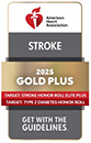 American Heart Association/American Stroke Association Stroke Honor Roll Elite Plus/Gold Plus
