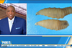 FOX 5: Dr. Saggar Shares Insights on First Case of New World Screwworm in U.S.